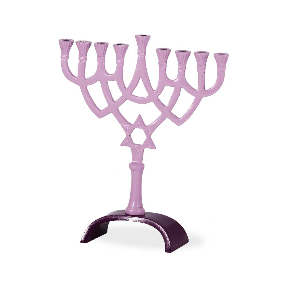 Aluminum Menorah - Colored Enameled Purple Pink